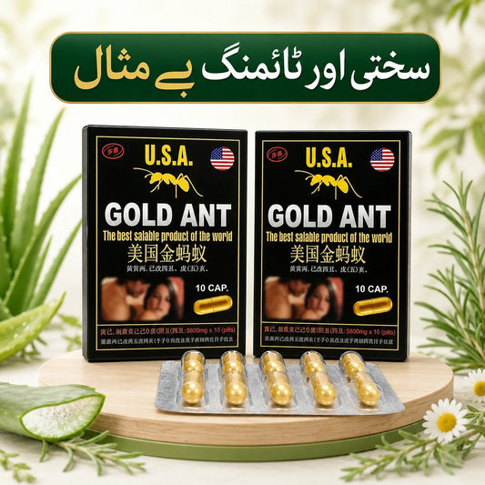 HC - GD Ant